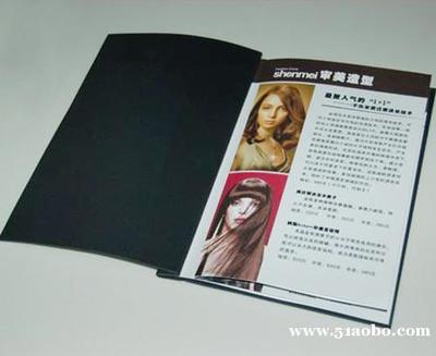 濟(jì)南紅豆圖文 專業(yè)企業(yè)畫冊與產(chǎn)品冊設(shè)計(jì)制作出版服務(wù)